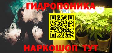 прущие грибы Славянск-на-Кубани