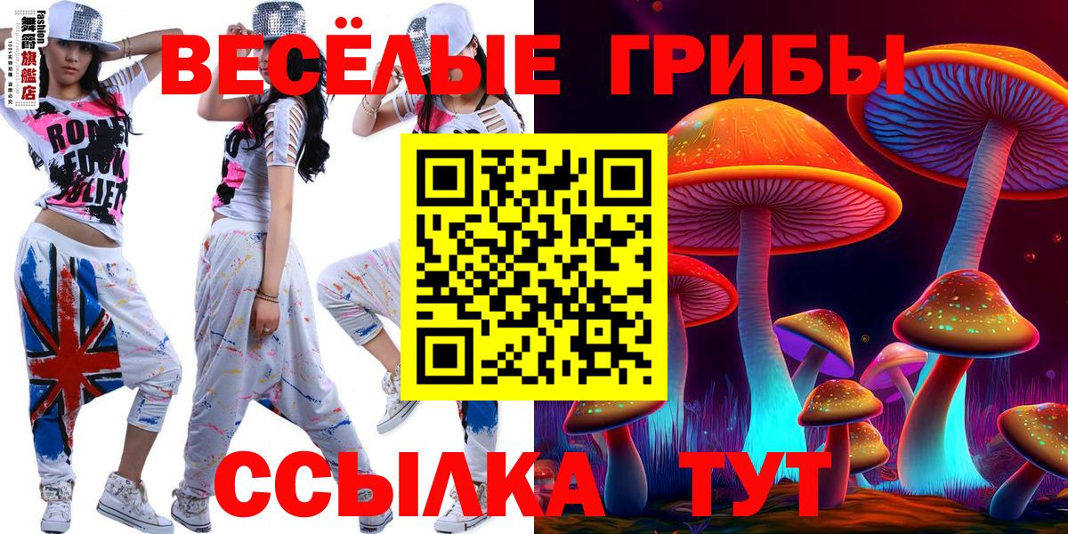 Псилоцибиновые грибы Psilocybine cubensis Югорск