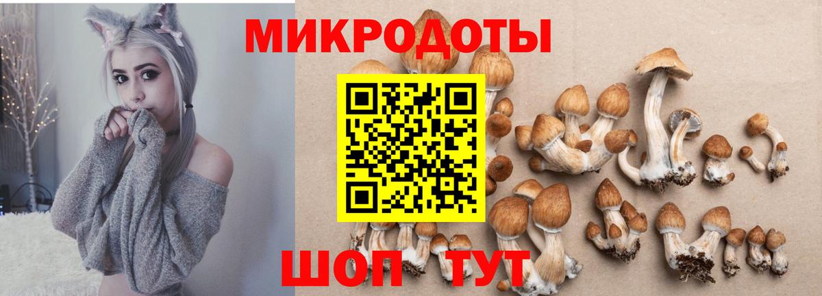 Югорск  Псилоцибиновые грибы прущие грибы  Галлюциногенные грибы мухоморы  Вход с VPN 